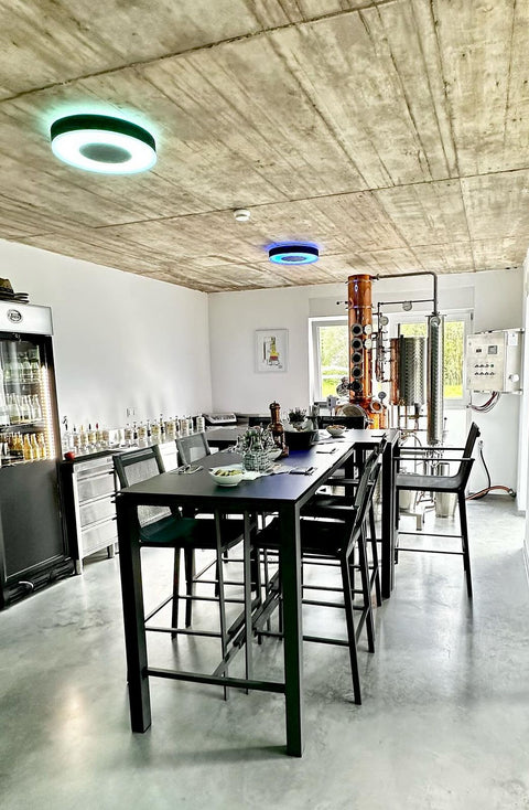 Gin Tasting @13spirits - 03. August 2024